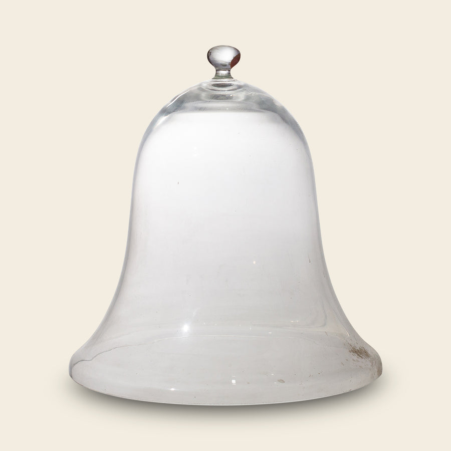 Glass Bell Cloche