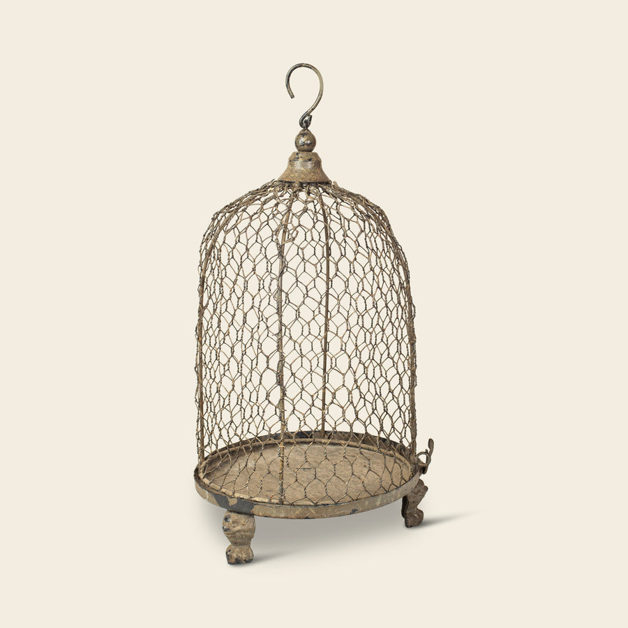 Wire Dome Birdcage on Scalloped Base